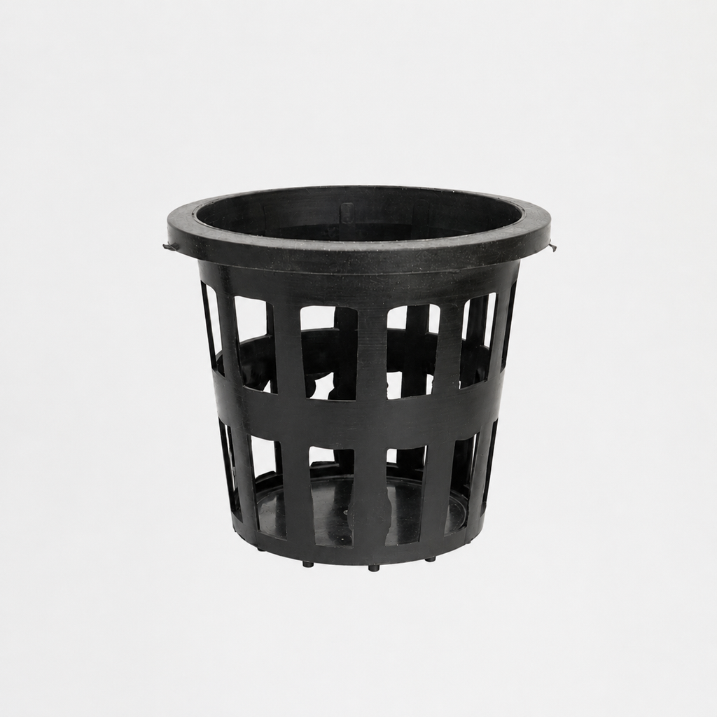 Orchid Mesh Pot